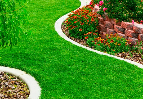 Commercial Landscaping in Austin